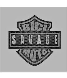 BICIMOTO SAVAGE