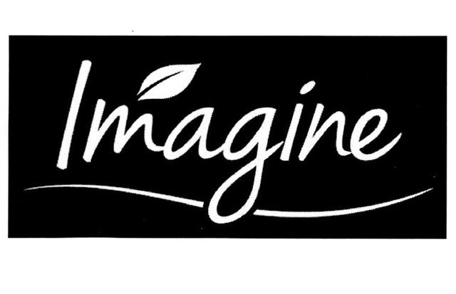 IMAGINE