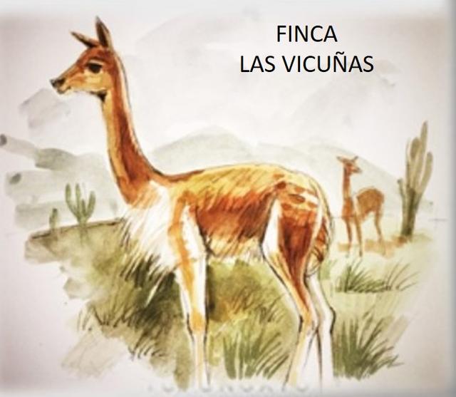 FINCA LAS VICUÑAS