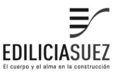 EDILICIASUEZ EL CUERPO Y EL ALMA EN LA CONSTRUCCION