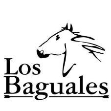 LOS BAGUALES