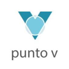 PUNTO V