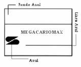 MEGACARIOMAX