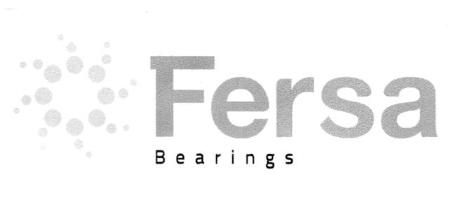 FERSA BEARINGS