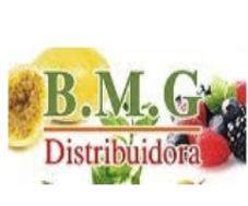 B.M.G DISTRIBUIDORA