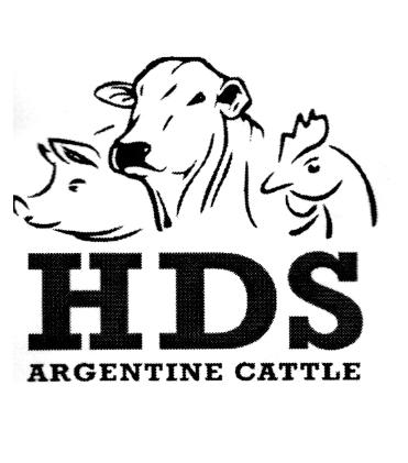 HDS ARGENTINE CATTLE