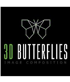 3D BUTTERFLIES IMAGE COMPOSITION