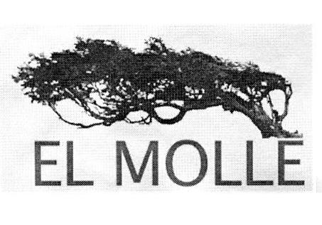 EL MOLLE