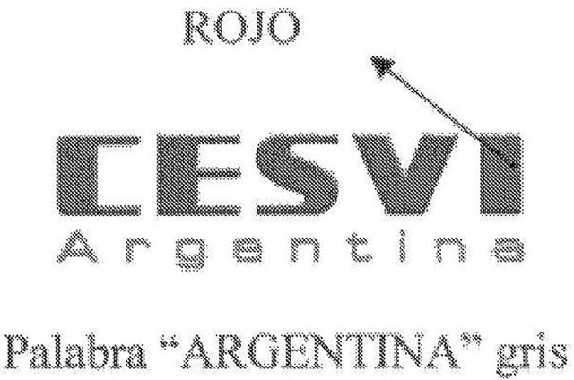 CESVI ARGENTINA