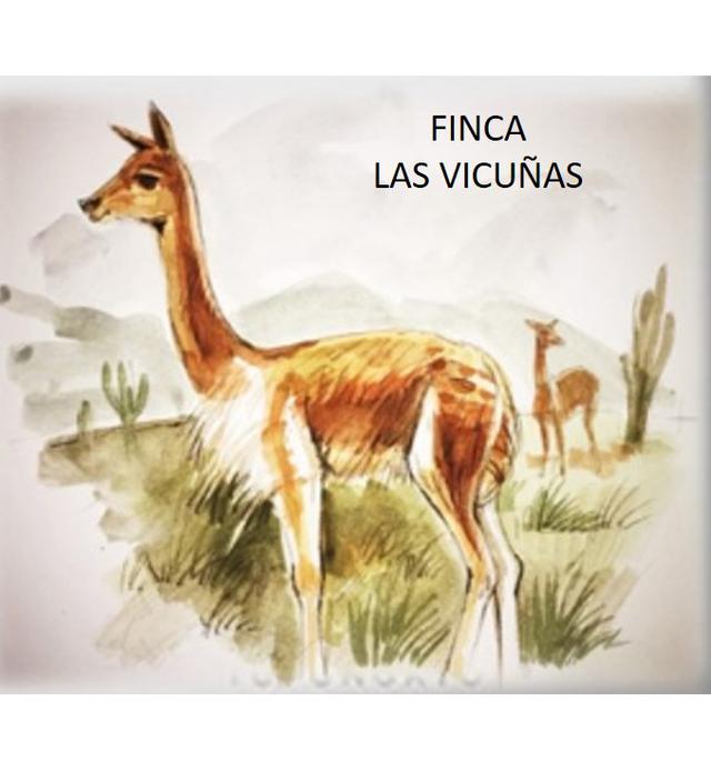 FINCA LAS VICUÑAS