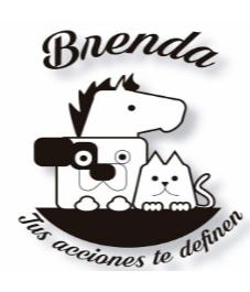 BRENDA TUS ACCIONES TE DEFINEN