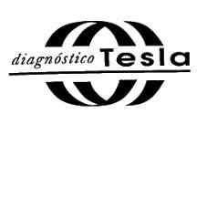 DIAGNOSTICO TESLA