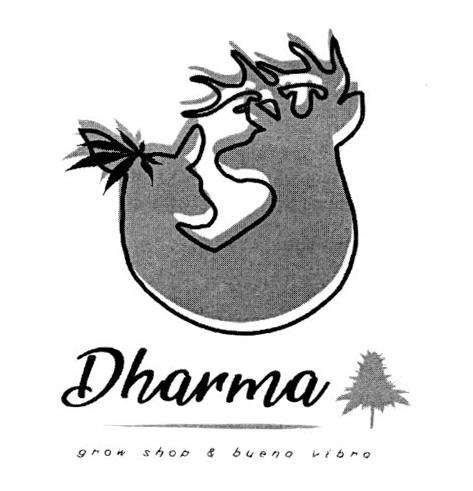 DHARMA GROW SHOP & BUENA VIBRA