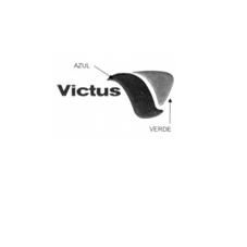 VICTUS