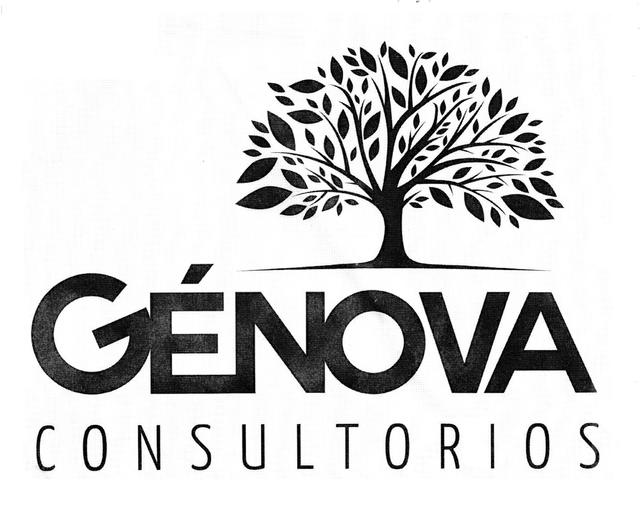 GENOVA CONSULTORIOS