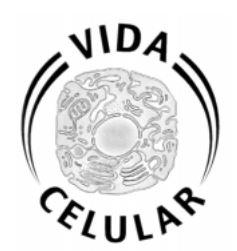 VIDA CELULAR