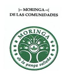 MORINGA DE LAS COMUNIDADES MORINGA DE LA YUNGA SALTEÑA