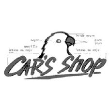 CAR'S SHOP