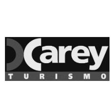 CAREY TURISMO