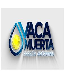 VACA MUERTA ENERGIA ARGENTINA