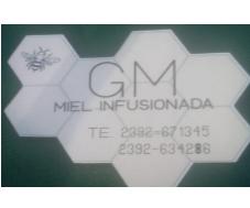 GM MIEL INFUSIONADA