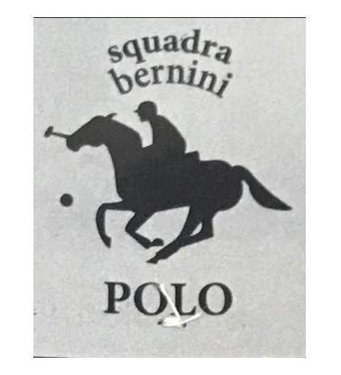 SQUADRA BERNINI POLO