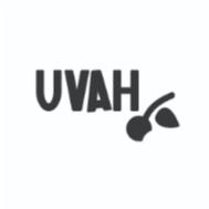 UVAH