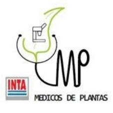 MP MEDICOS DE PLANTAS INTA