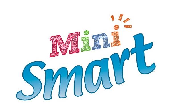 MINI SMART