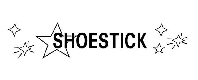 SHOESTICK