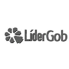 LIDERGOB