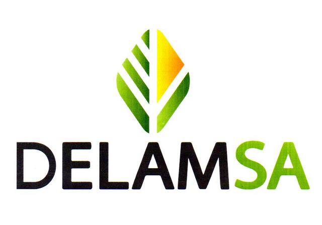 DELAMSA