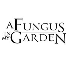 A FUNGUS IN MY GARDEN