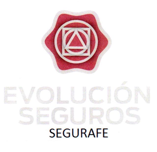 EVOLUCIÓN SEGUROS SEGURAFE