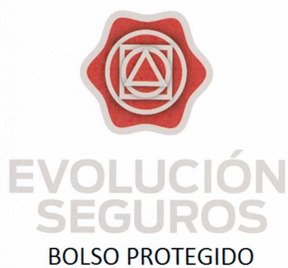 EVOLUCIÓN SEGUROS BOLSO PROTEGIDO