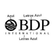 BDP INTERNATIONAL