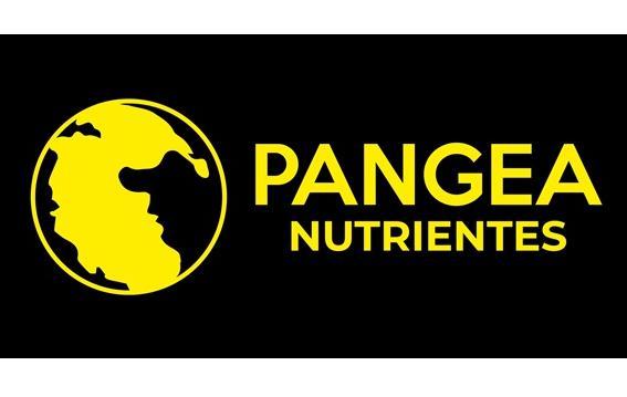 PANGEA NUTRIENTES