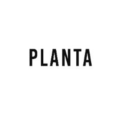 PLANTA