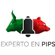 EXPERTO EN PIPS