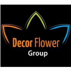 DECOR FLOWER GROUP