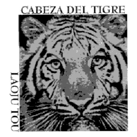 CABEZA DEL TIGRE LOAJU TOU