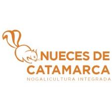 NUECES DE CATAMARCA NOGALICULTURA INTEGRADA