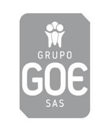 GRUPO GOE SAS