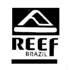 REEF BRAZIL