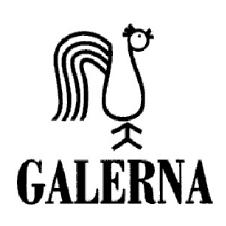 GALERNA