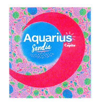 AQUARIUS CEPITA SANDIA