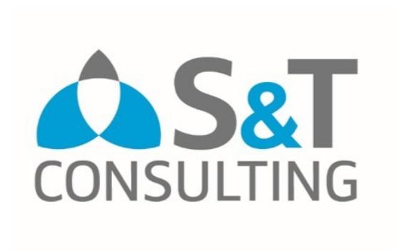 S&T CONSULTING