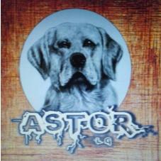 ASTOR LG