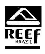 REEF BRAZIL