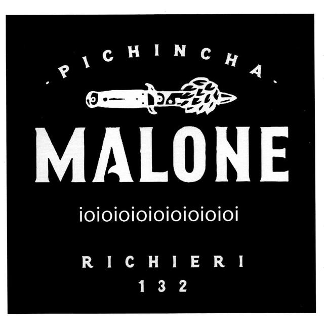 PICHINCHA MALONE RICHIERI 132